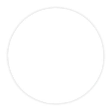 NSI Secrets Removable Gel Brush On White 6gms