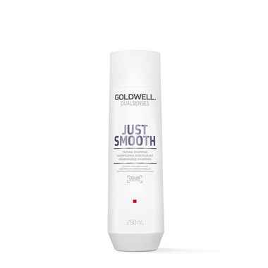 Goldwell Dualsenses Just Smooth Shampoo 250ml