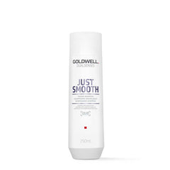 Goldwell Dualsenses Just Smooth Shampoo 250ml