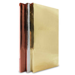 Appointment Book 3 Column Silver