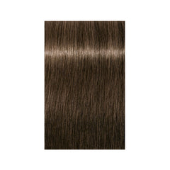 Indola Xpress Color 60ml 6.00 Dark Blonde Intense Natural