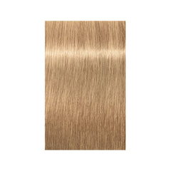 Indola Xpress Color 60ml 8.03 Light Blonde Natural Gold