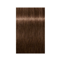 Indola Xpress Color 60ml 6.38 Dark Blonde Gold Chocolate