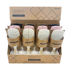 Lotus Eco-friendly Detangling Brush 12pc Display
