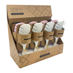 Lotus Eco-friendly Detangling Brush 12pc Display