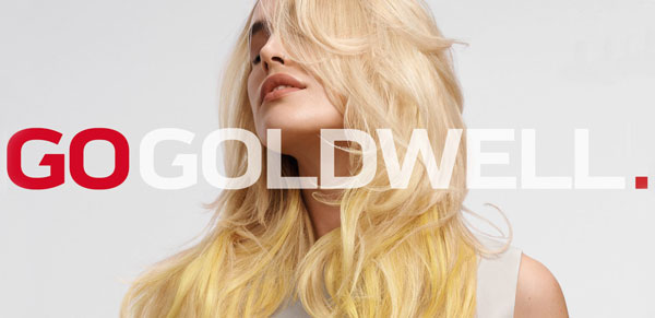 Goldwell Professional Hair Colour