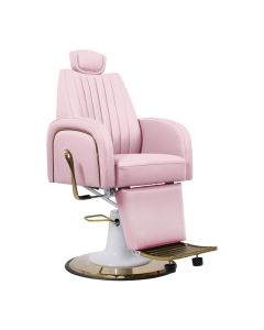 Skinmate Darcy Pink Beauty/Barber Chair