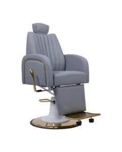 Skinmate Darcy Grey Beauty/Barber Chair