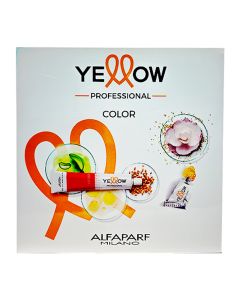 Yellow Professional Colour Chart 2024