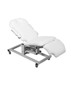 SkinMate Elite Electric Couch